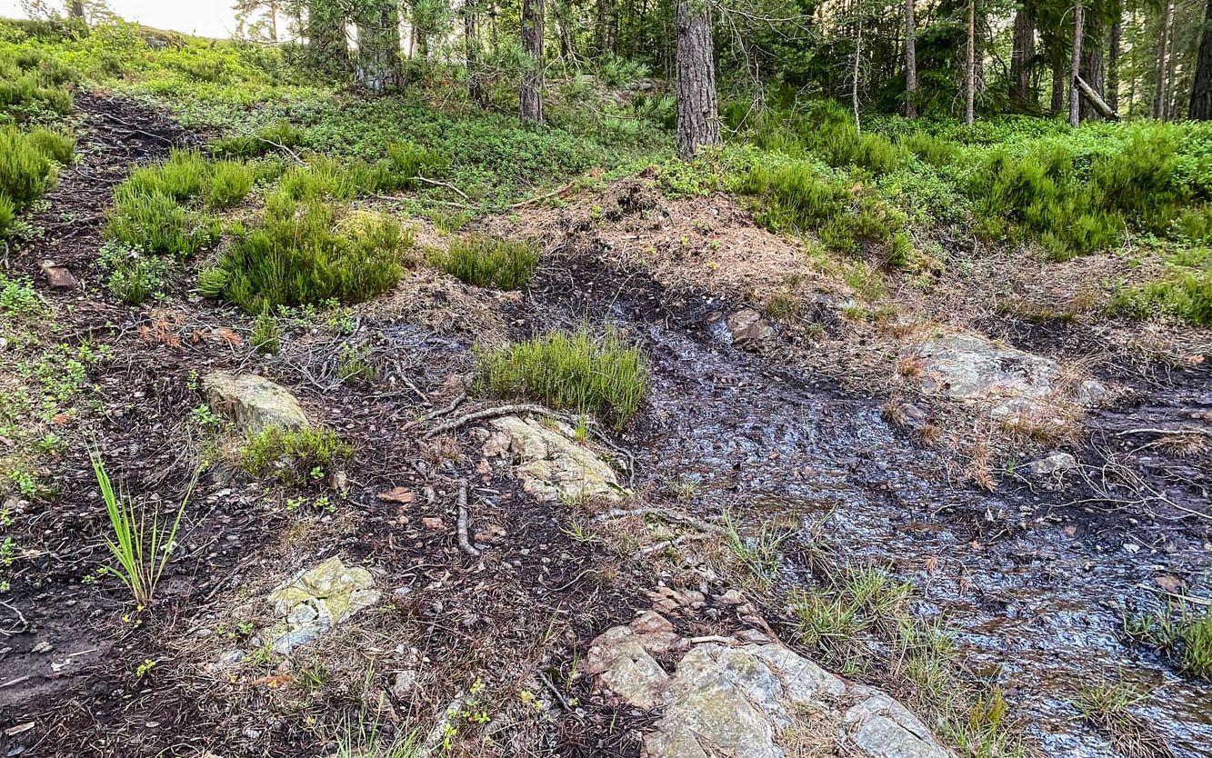 Det låg på torsdagskvällen en mörk oljeliknande hinna på marken i och vid den lilla sjön Svalsjön, norr om Håverud. På en av bilderna syns den även på stigen, där hunden trampade. 