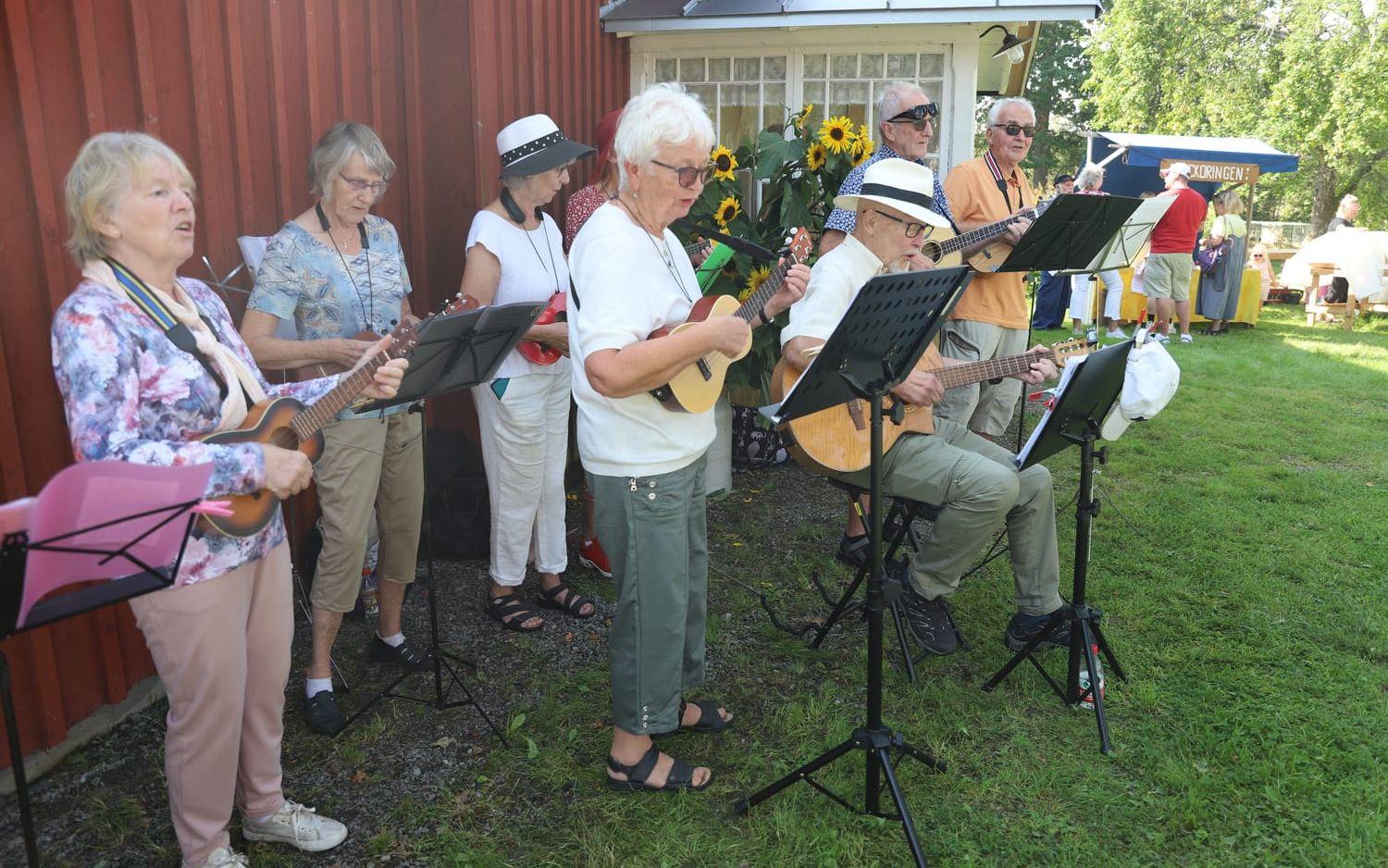 Underhållningen med sång och ukulelespel.